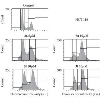 Cell Cycle Phases Distribution In Hct Cells A C And Du