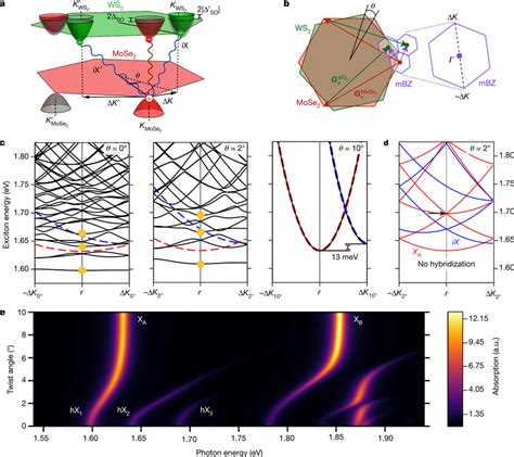 Theoretical moiré bands and absorption spectrum of hybridized