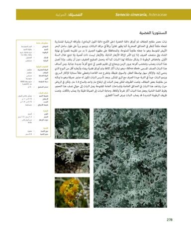 Riyadh Plants Manual Ar Ci Oy الصفحة 279 PDF على الإنترنت