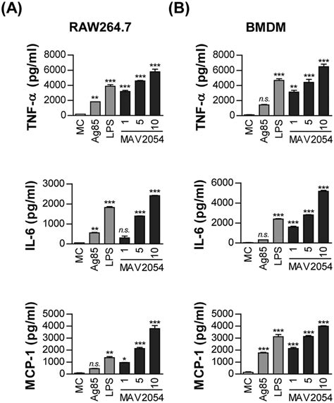 Production Of Tnf α Il 6 And Mcp 1 From Raw2647 Cells Or Bmdms Download Scientific Diagram