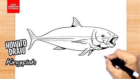 How To Draw Kingfish Youtube