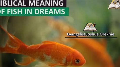 The Spiritual Significance Of Dreaming Of Fish In The Bible John