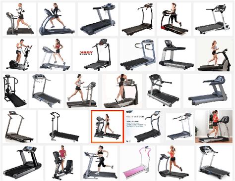 Types Of Workout Machines Eoua Blog