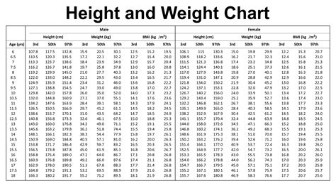 Weight Watchers Point Book 10 Free Pdf Printables Printablee