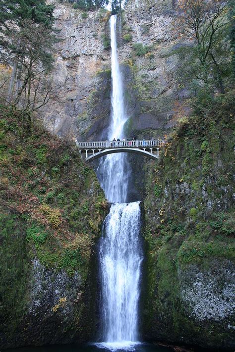 Multnomah Falls Trail Oregon Drawing By Heidi Cataldo Warren Pixels