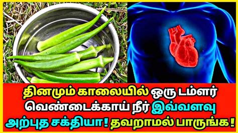 தினமும் ஒரு டம்ளர் வெண்டைக்காய் ஜூஸ் இவ்வளவு அற்புத சக்தியா Ladyfingers Juice Health Tips