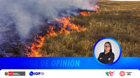 Columna De Opinión Efectos De Incendios En Pastizales Y Suelos