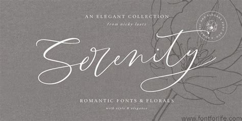 Serenity Font Duo