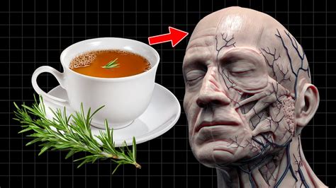 What Happens To Your Body When You Drink Rosemary Tea Every Day Youtube