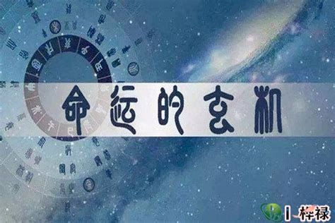 学习八字命理的步骤 桦禄易学网