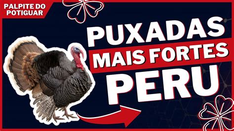 Qual A Puxada Do Peru