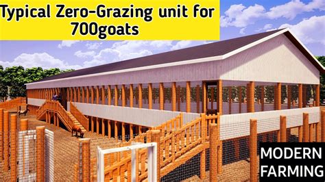 Typical Zero Grazing Structure Design For Goats Shop