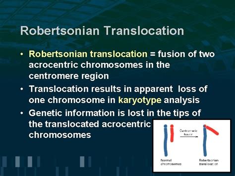 5 Human Karyotypes And Chromosome Behavior Human Chromosomes