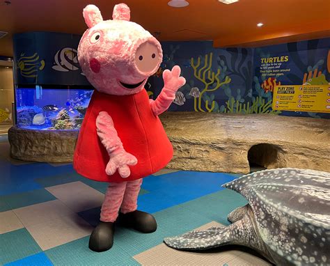 Calling All Peppa Pig Fans Join Peppa On An Aquarium Adventure These