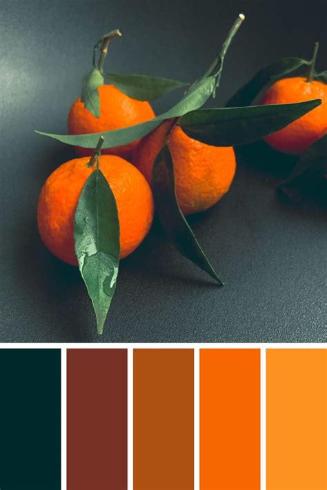 Clementine Color Palette Inspiration Paleta De Colores Combinaciones