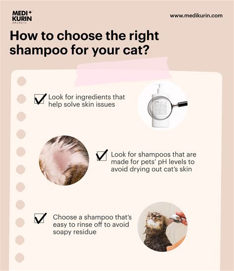 Why & When You Should Give Your Cats A Bath | MEDIKURIN