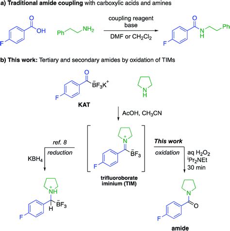 Amine And Carboxylic Acid Reaction Mechanism