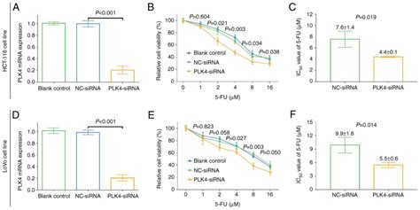 Pololike Kinase Is Associated With Advanced Tnm Stages And Reduced