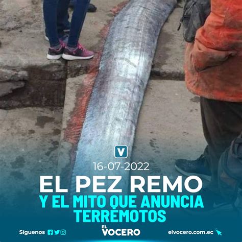 El Pez Remo Y El Mito Que Anuncia Terremotos El Vocero