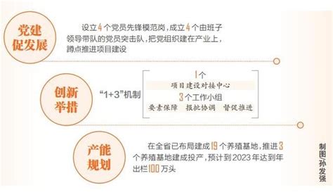 海墾草畜豬業推進黨建與生產經營相融合 擴大產業版圖 每日頭條