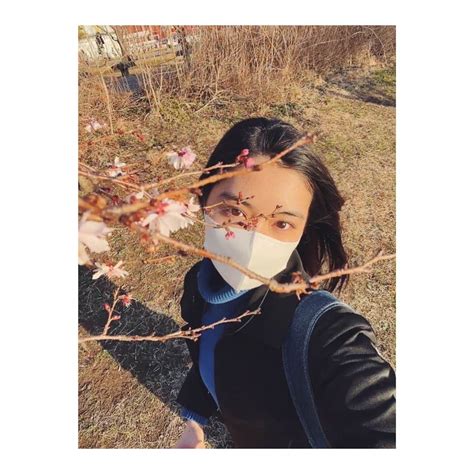 吉田美月喜さんのインスタグラム写真 吉田美月喜instagram「 🌸🍃 桜 Sakura 吉田美月喜