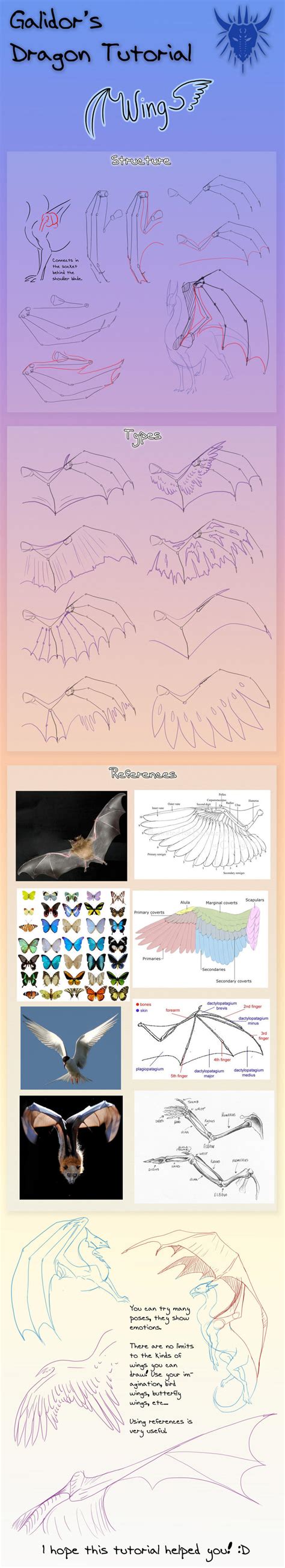 Dragon Wing Tutorial By Galidor Dragon On Deviantart