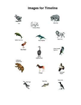 Timeline of Extinct Animals by Dr Dave's Science | TPT