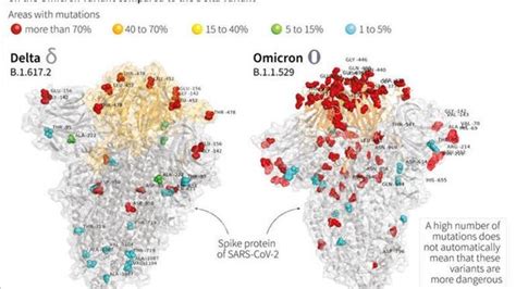 Sub Lineage Of Omicron Variant Spreads To 40 Countries