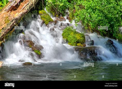 Cold Springs Pour Into The Metolius River Near Wizard Falls Stock Photo