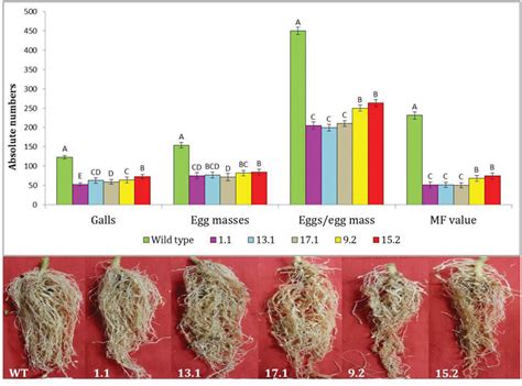 Frontiers Expression Of A Cystatin Transgene In Eggplant Provides