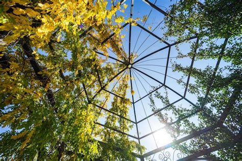 Premium Photo | Dome of garden house in the autumn