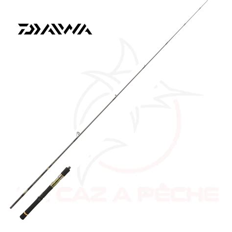 Canne Crosscast Daiwa Lacazapeche Re