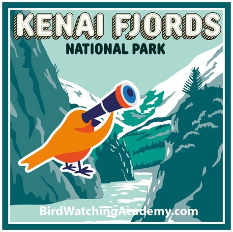 Bird Watching at Kenai Fjords National Park - Bird Watching Academy