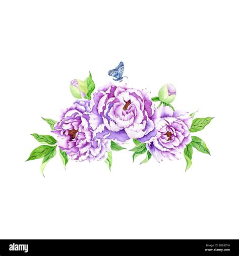 Watercolor Purple Peonies Isolated On White Watercolor Very Peri