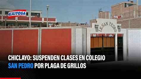 🔴🔵chiclayo Suspenden Clases En Colegio San Pedro Por Plaga De Grillos Youtube