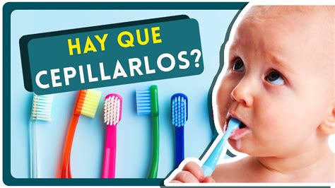 🦷cuándo Y Cómo Cepillar Los Dientes A Tu Bebé Pasta Dental Prevención De La Caries En Niños