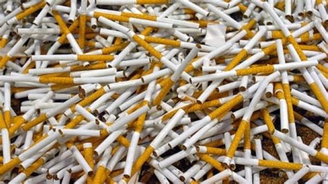 Sal Saisie Dune Importante Quantit De Cigarettes Et De Tabac