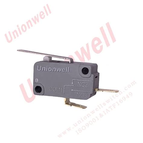 China Customized Basic Micro Switch Spst No Straight Lever