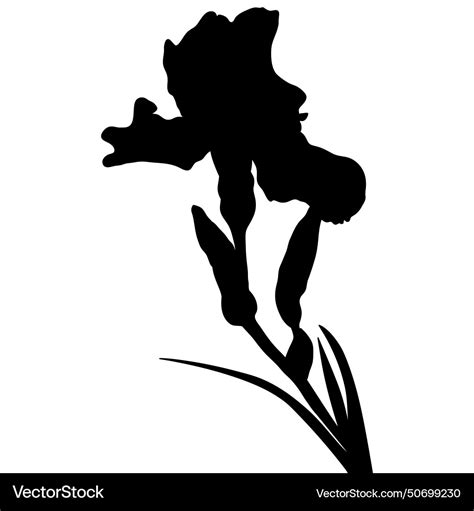 Iris Flower Black Silhouette Botanical Royalty Free Vector