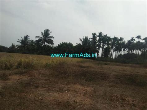 2 Acres Agriculture Land For Sale At Yalachagere 60kms From Bangalore