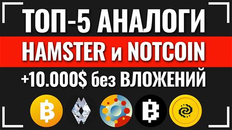 ТОП 5 АНАЛОГИ лучше чем HAMSTER KOMBAT и NOTCOIN Blum Pocketfi