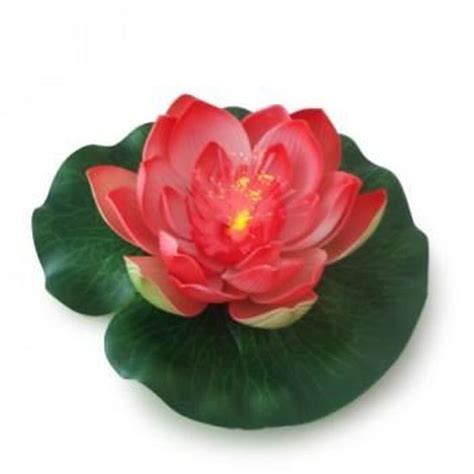 Fleur Flottante Led Rose Lotus Lumineux Cdiscount Maison