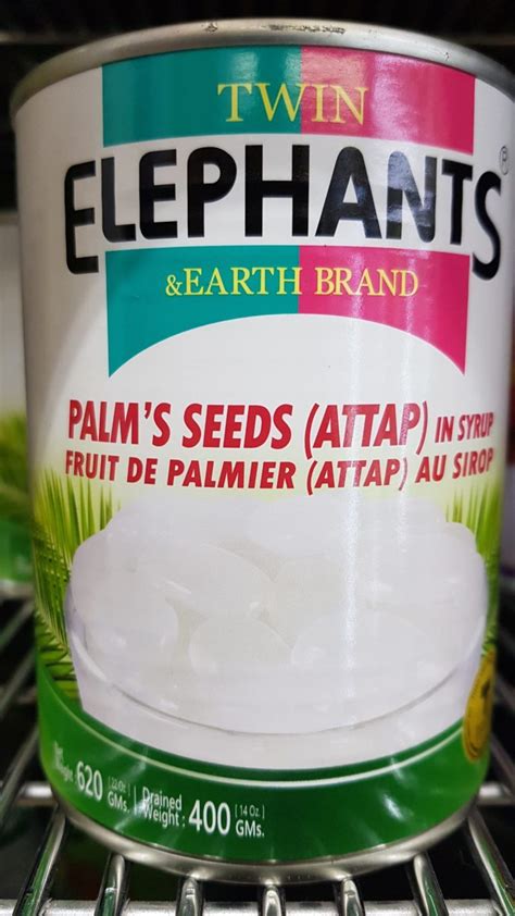 Twin Elep Palms Seed Attap 620g Grand Laguna