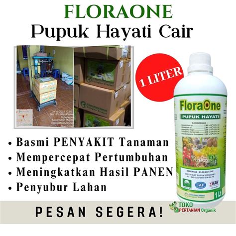 Jual Floraone Obat Busuk Buah Cabe Keriting Fungisida Hayati