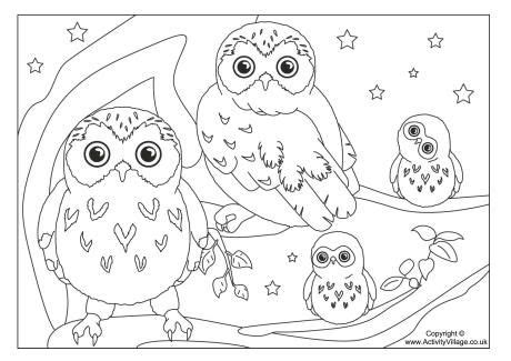 Owl Family Coloring Pages