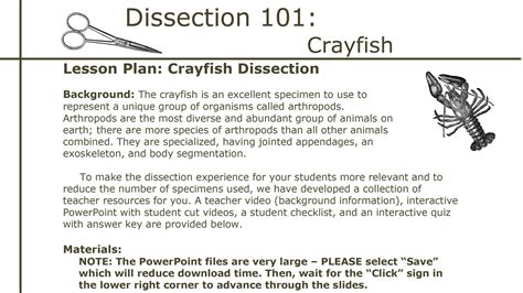 Crayfish Dissection - Worksheets Library