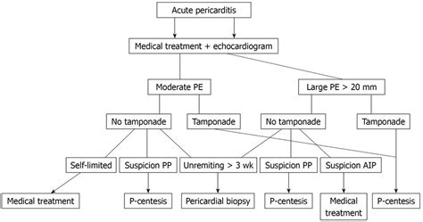 Pericardial Effusion Causes Symptoms Diagnosis Prognosis Treatment