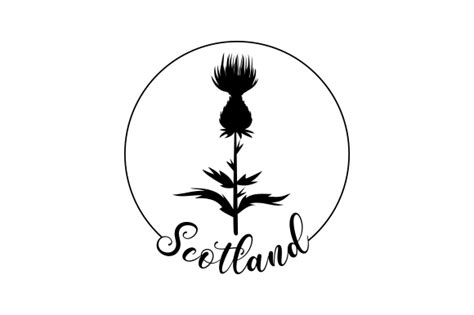 Scottish Thistle Silhouette Svg Cut File By Creative Fabrica Crafts