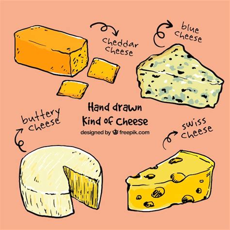 Variety of sketches cheese Vector | Free Download