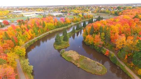 New Brunswick weather: sunny and cool today, rain tomorrow - New Brunswick - CBC News